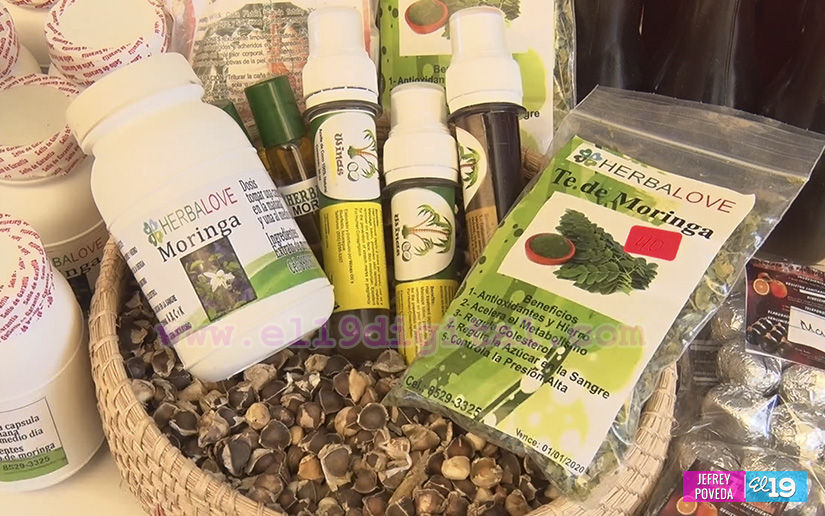 Feria de la medicina natural de los pueblos, una alternativa para curar sus padecimientos