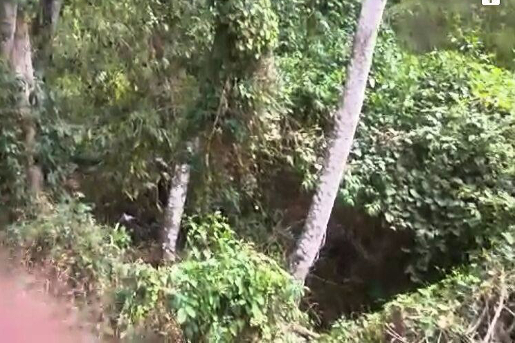 Dos jóvenes muertos por accidente de tránsito en Nueva Segovia