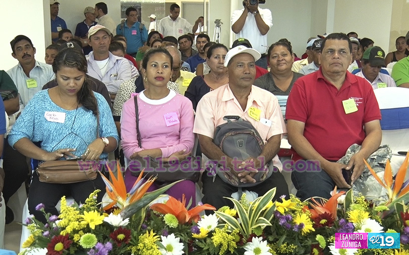 INTA desarrolla taller de intercambio de experiencias para mejorar producción de frutas y hortalizas