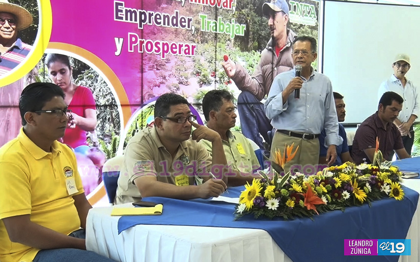INTA desarrolla taller de intercambio de experiencias para mejorar producción de frutas y hortalizas