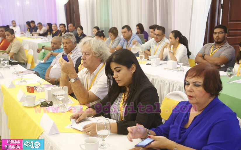 El bambú como alternativa en la construcción de viviendas