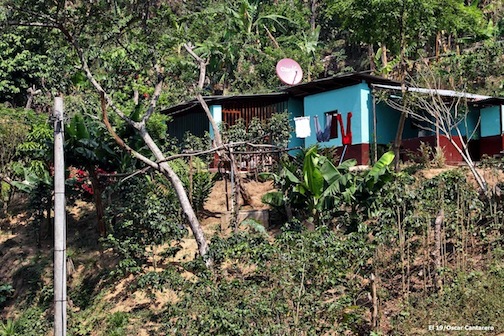 Energía eléctrica cambia la vida a familias de comunidad campesina de Dipilto