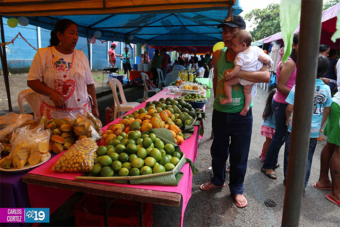 Celebran feria de economía familiar en Batahola Sur