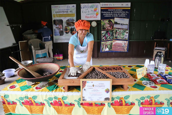 Familias campesinas de Río San Juan apuestan por producir cacao de alta calidad