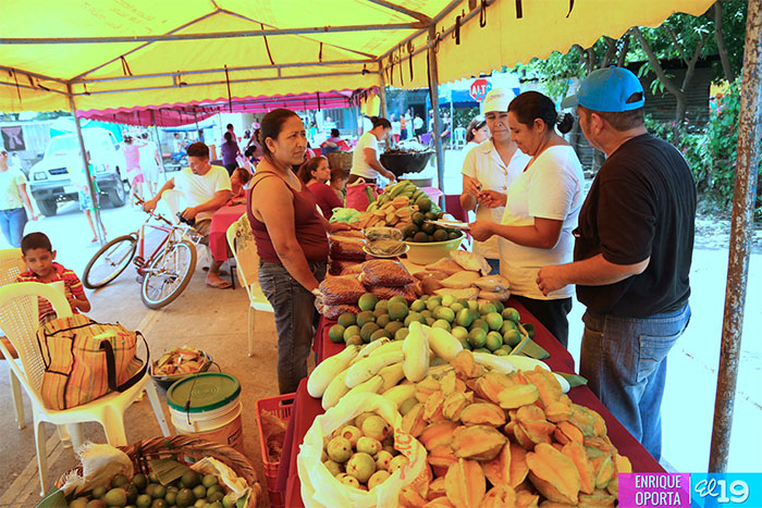 Barrio Concepción de María con buenos resultados en Feria de la Economía Familiar