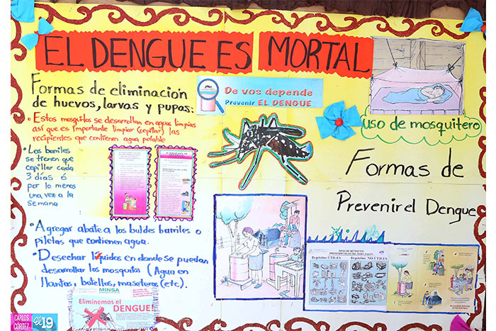 Segunda ola de casos de dengue amenaza a familias de Nicaragua