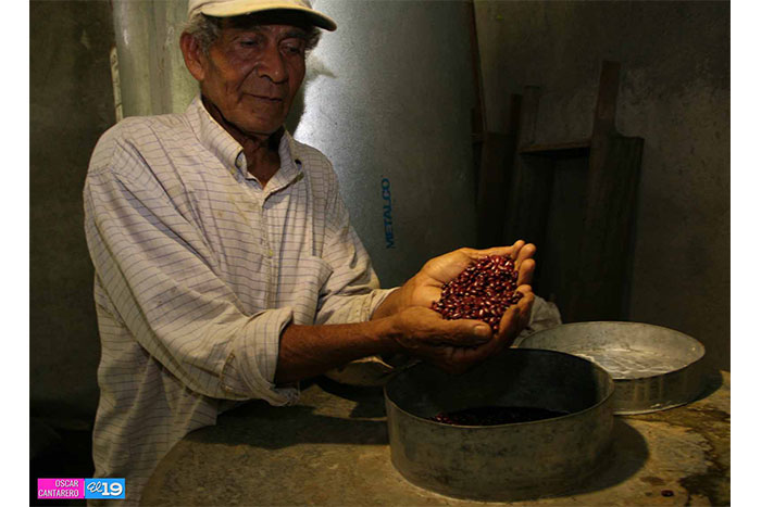 Bancos de semilla, oportunidad para mejorar rendimientos productivos y nutrición familiar