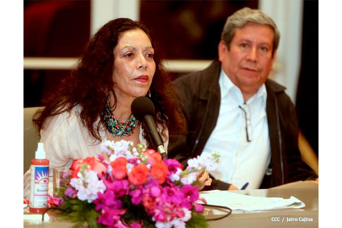 Gobierno decreta Alerta Roja Sanitaria por epidemia de dengue