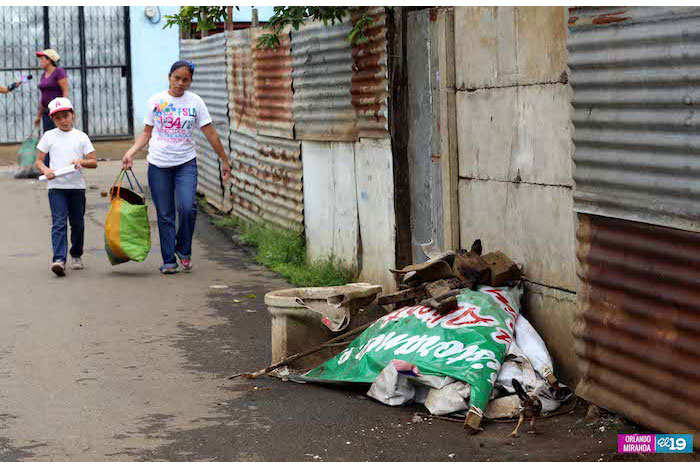 Continúa este domingo intensa movilización contra el dengue