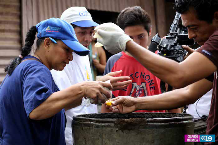 Continúa este domingo intensa movilización contra el dengue