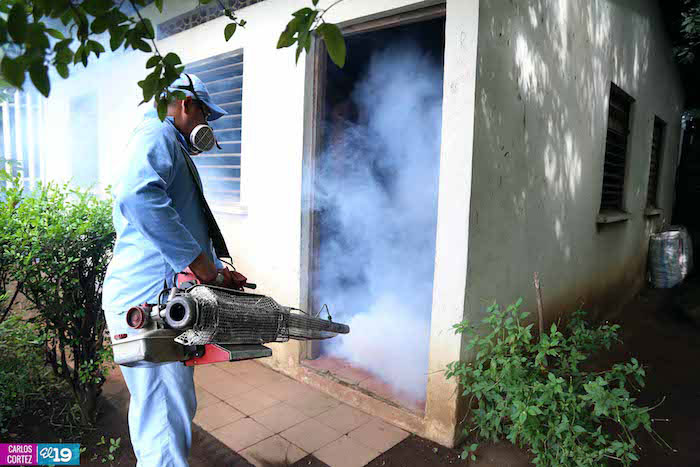 Continúan jornada de fumigación en la capital para erradicar el dengue