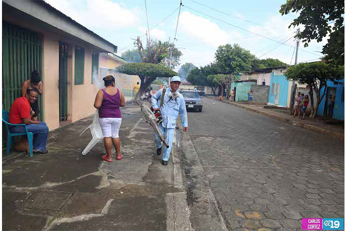Continúan jornada de fumigación en la capital para erradicar el dengue