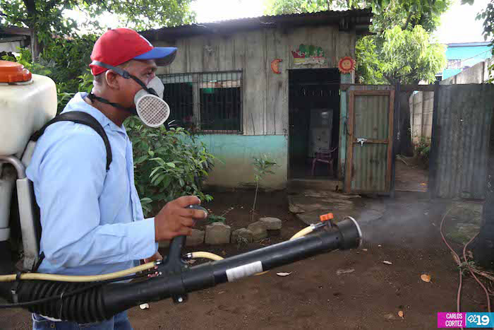 Continúan jornada de fumigación en la capital para erradicar el dengue