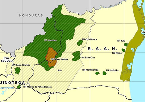 Instalan hoy Comisión Interinstitucional para atender problemática de Bosawás