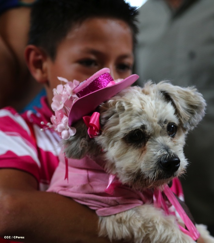 Familias celebran Fiesta de San Lázaro en Masaya