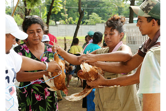 Familias de Tipitapa reciben Bono Productivo Alimentario