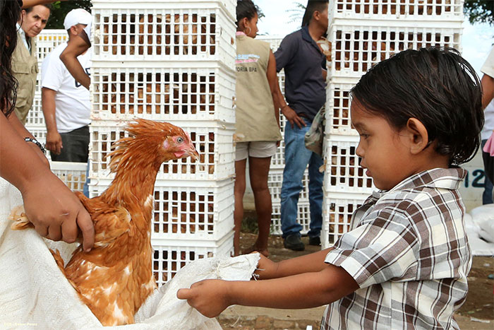 Familias de Tipitapa reciben Bono Productivo Alimentario