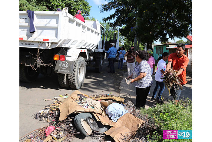 Familias del Distrito VII se deshacen de los “calaches viejos” de sus casas