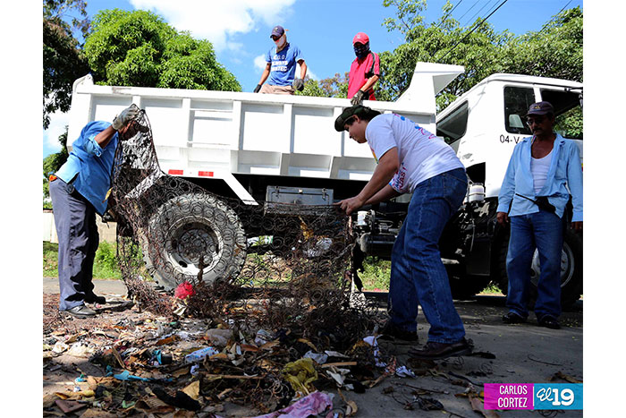 Familias del Distrito VII se deshacen de los “calaches viejos” de sus casas