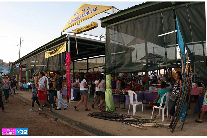 Finaliza con éxito Feria en honor a la Purísima Concepción de María