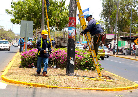 Avanzan trabajos para el embellecimiento de la Avenida Bolívar