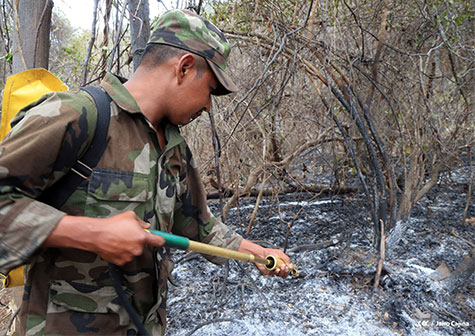 Mantienen controlado incendio en Volcán Masaya
