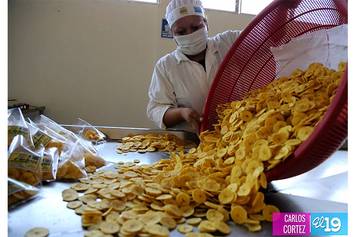 El Sueño Cooperativo de Sandino ha revivido con mucho más ímpetu