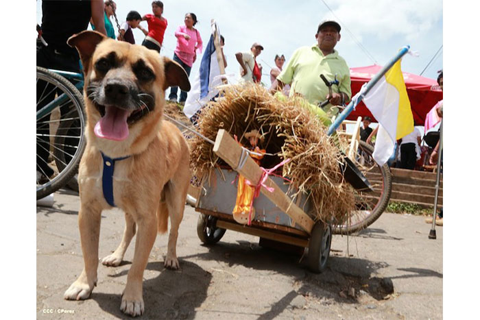 Católicos celebran a San Lázaro en Masaya