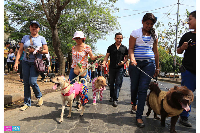 Familias y parroquias participan de festividad de San Lázaro