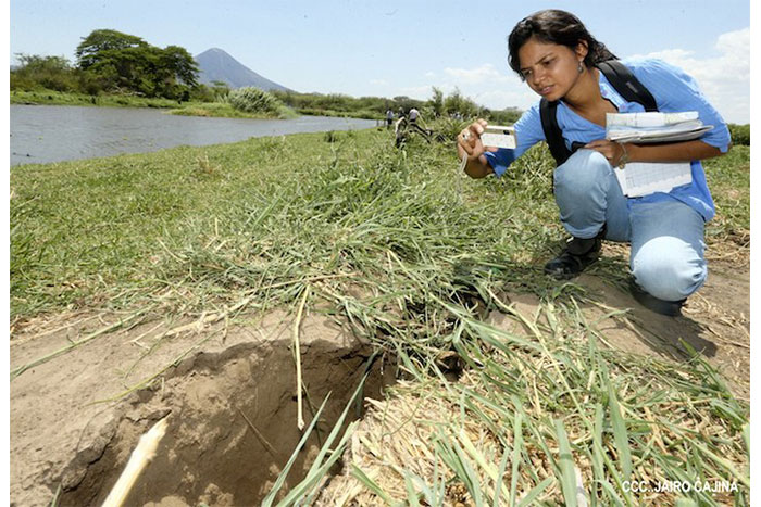 Geólogos detectan probable epicentro de terremoto del jueves pasado