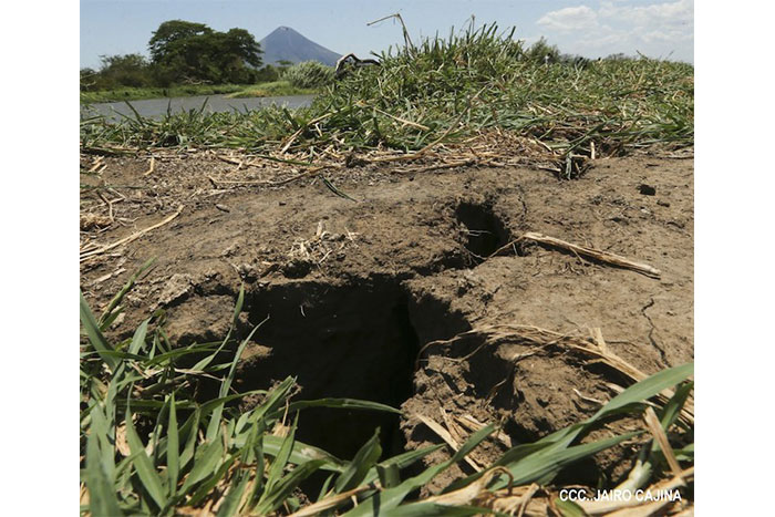 Geólogos detectan probable epicentro de terremoto del jueves pasado