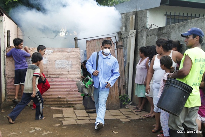 “Hay que evitar una nueva epidemia de dengue”