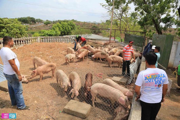Familias de Tipitapa reciben bienes del Bono Productivo Alimentario