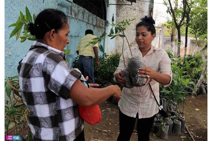 Familias de Tipitapa reciben bienes del Bono Productivo Alimentario