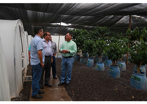 Director de OIC visita beneficios cafetaleros de Matagalpa