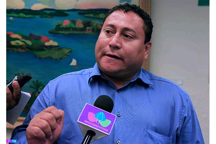 Sector Forestal continuará creciendo pese a El Niño
