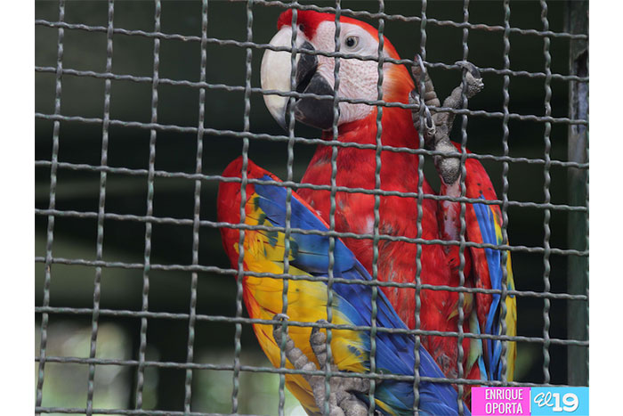 Zoológico Nacional, una herramienta educativa para la niñez
