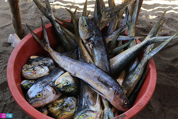 Pescadores se preparan para enfrentar fenómeno de El Niño