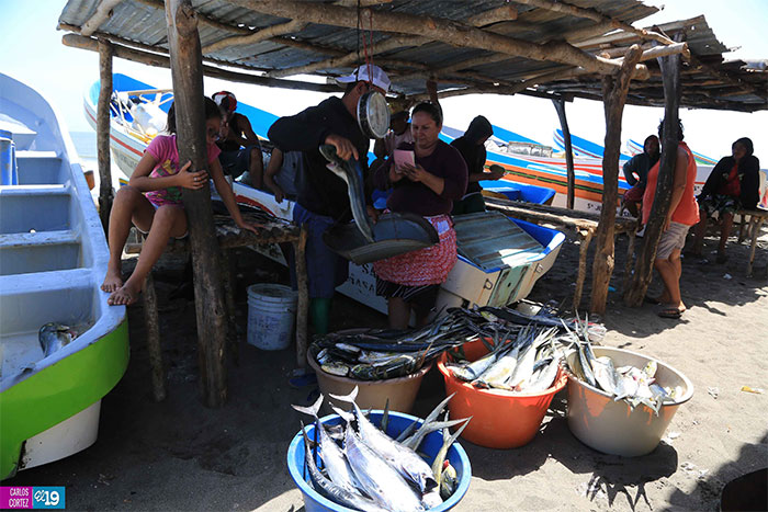 Pescadores se preparan para enfrentar fenómeno de El Niño