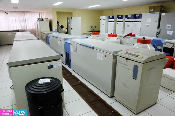 Minsa preparado ante eventual presencia del virus Chikungunya en nuestro país