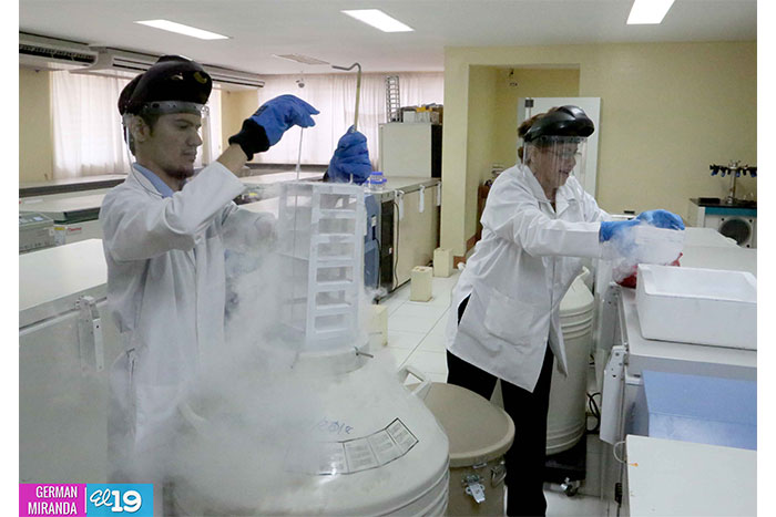 Minsa preparado ante eventual presencia del virus Chikungunya en nuestro país