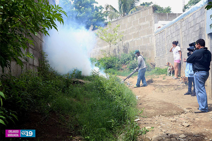 Exterminan criaderos de mosquitos en barrio Memorial Sandino