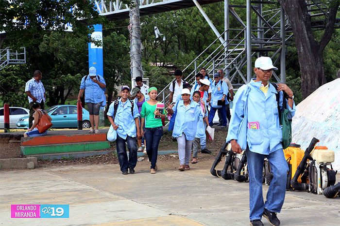 Exterminan criaderos de mosquitos en barrio Memorial Sandino