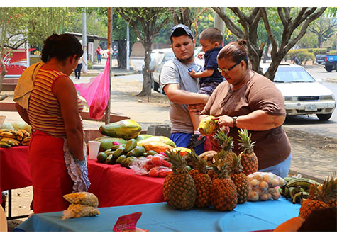 Población del Distrito II compra a precios solidarios en Feria de la Economía Familiar