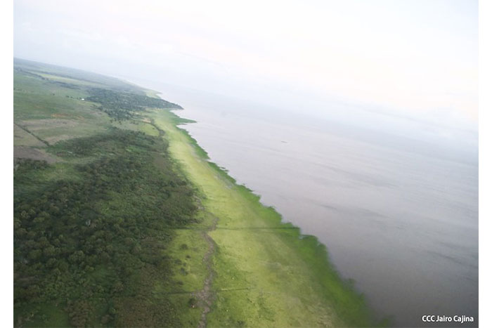 Caribeños con muchas expectativas en la construcción del Canal Interoceánico