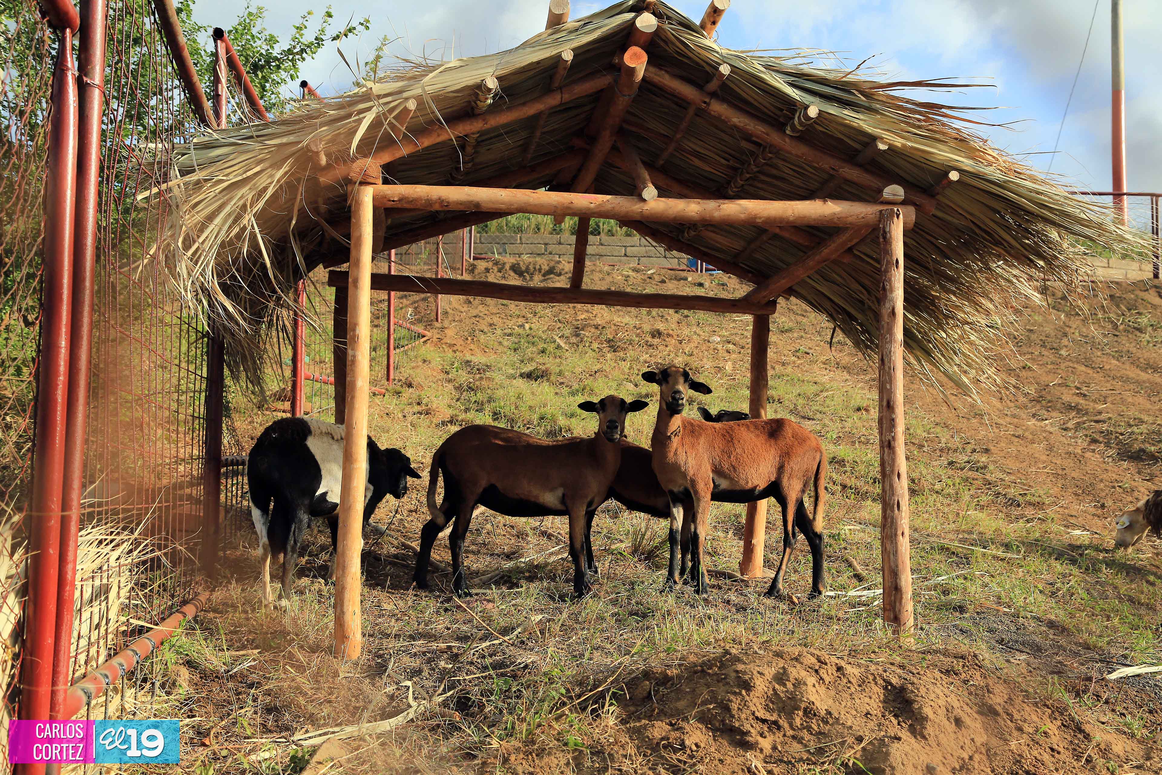 Todo listo para que familias disfruten del Parque Nacional de Ferias de la Economía Familiar
