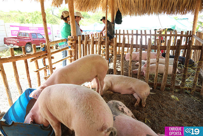 Feria de la Economía Familiar abre sus puertas a capitalinos