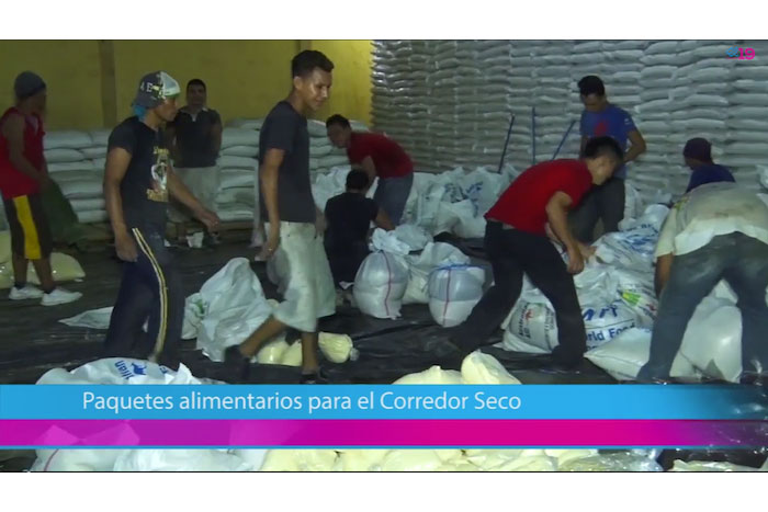 Paquetes alimentarios para familias del Corredor Seco (El 19 TV)