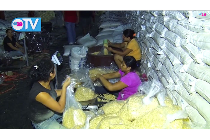 Paquetes alimentarios para familias del Corredor Seco (El 19 TV)