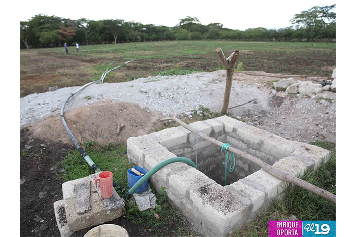 Sequía amenaza pero Gobierno y productores no dan tregua